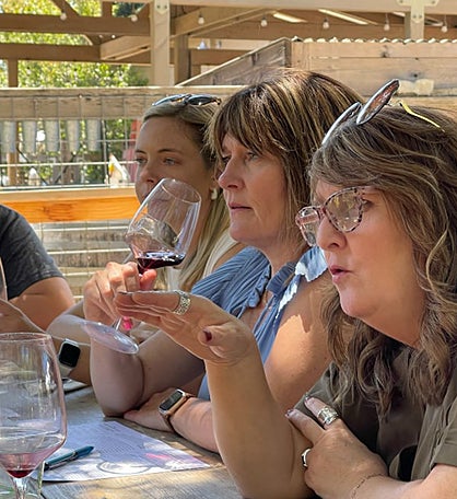 Wine Country Electric Trike Tour For Two - San Francisco