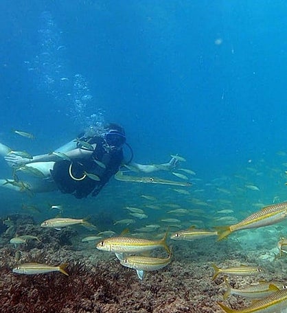 Try Scuba For Two - Alpharetta, Atlanta