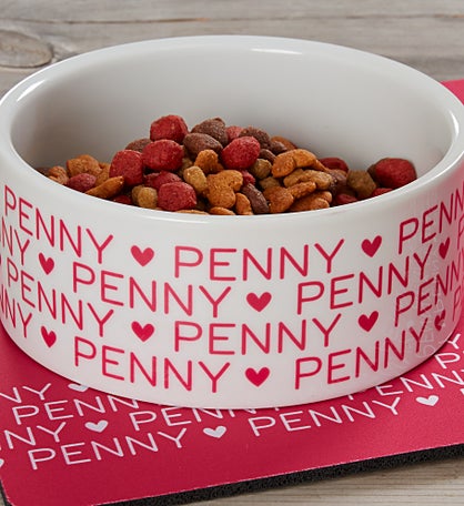 Pet Repeating Name Personalized Dog Bowls
