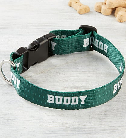 Athletic Personalized Dog Collar