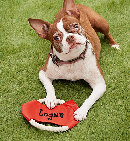 Personalized Dog Rope Flyer Toy