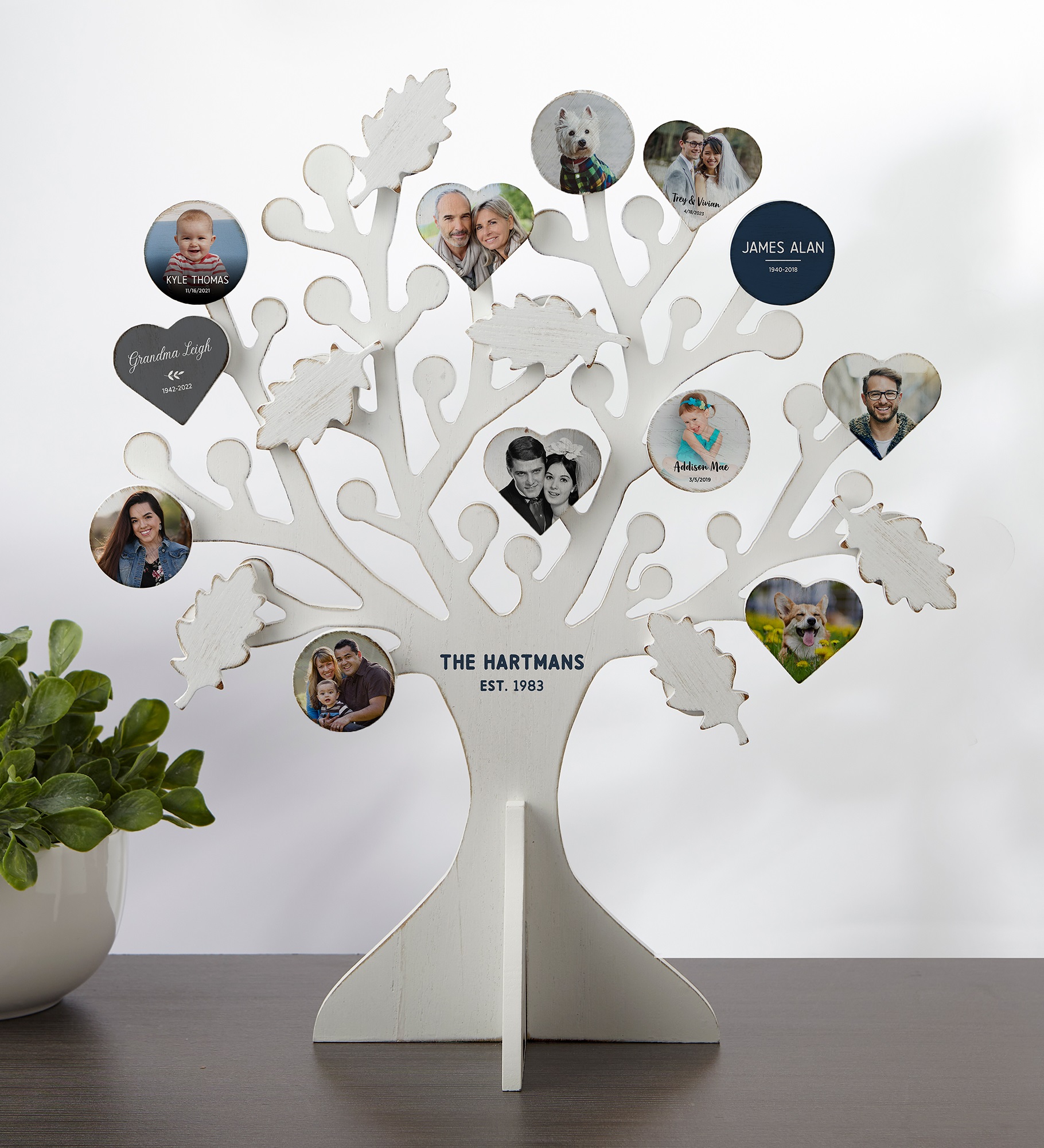 Family Name Personalized Magnetic Wooden Family Tree 
