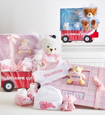 Hello Baby Boy or Girl  Wagon Bear  Book