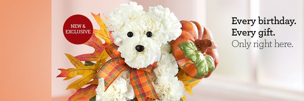 Every birthday. Every gift. Only right here.