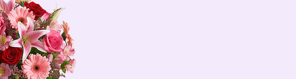 Best Sellers Same-Day Delivery