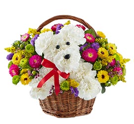 Adogable in basket&trade;