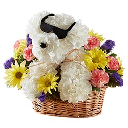 1800flowers Free Shipping >> Party Animals | Animal Shaped Flowers | 1800Flowers.com 1800flowers Free Shipping >> Party Animals | Animal Shaped Flowers | 1800Flowers.com