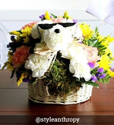 Adogable - Cool Pup - @styleandthropy