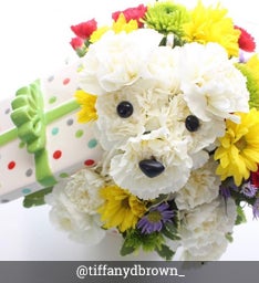 Adogable - @tiffanybrown_