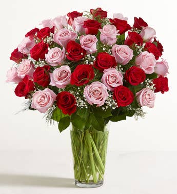 Ultimate Elegance Long Stem Pink  Red Roses