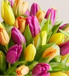 Deluxe Spring Assorted Tulip Bouquet, 60 Stems