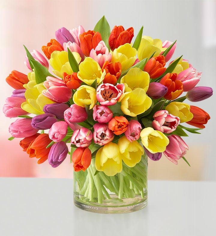 Assorted Tulips: 60 Stems