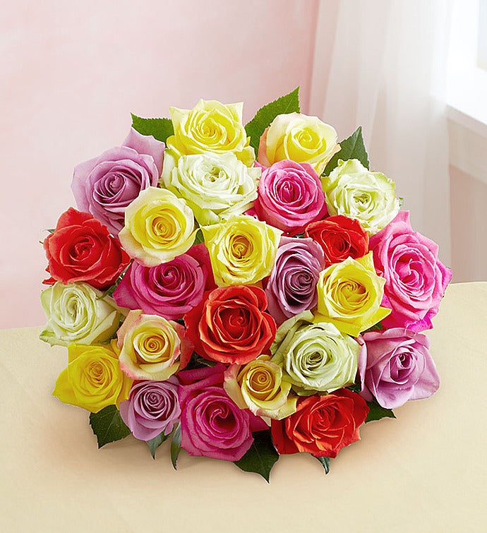 Two Dozen Assorted Roses + Free Shipping
