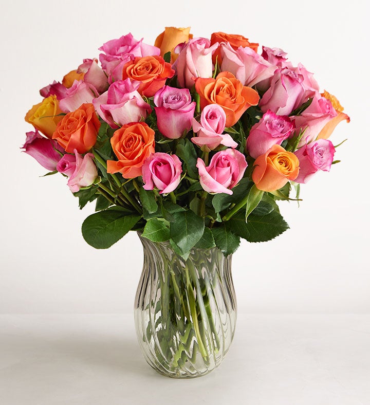 Sorbet Roses