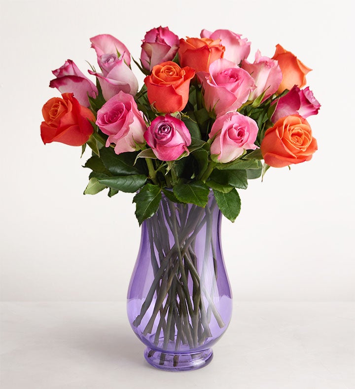 Sorbet Roses + Free Vase