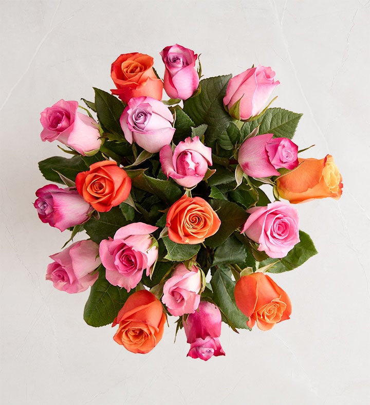 Mother's Day Sorbet Roses: 18 Stems