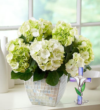White Hydrangea in Mosaic for Sympathy