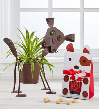 My Pet Plant - Dog or Cat