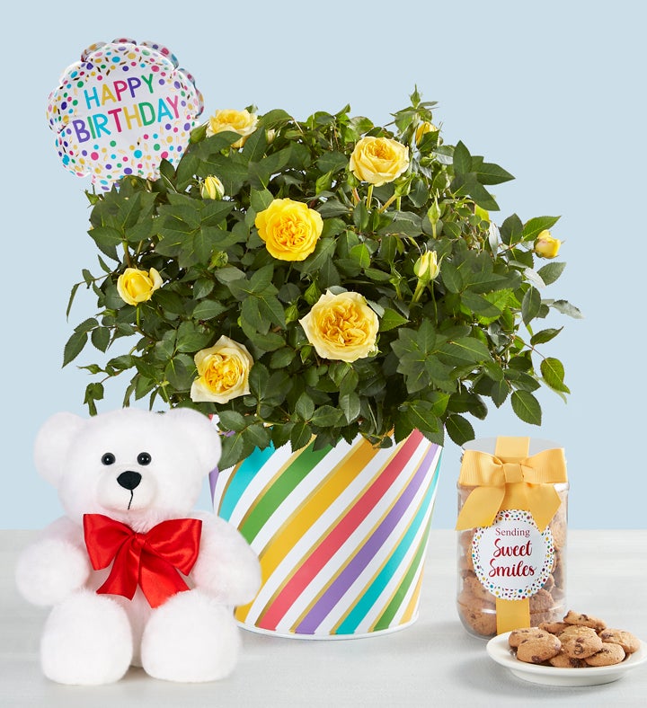 Send 24 Red Roses with Birthday Balloon To Philippines | Birthday Gifts  Delivery To Manila