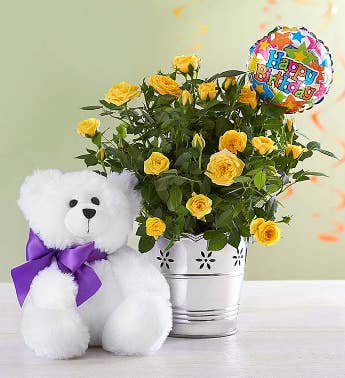 Happy Birthday Bundle