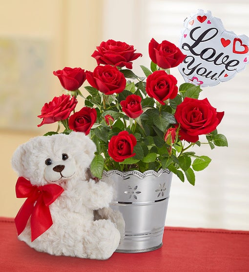 Love You Plant Gift Set | 1800Flowers.com - 101191