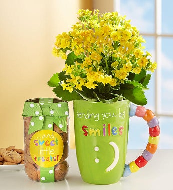Mugable Full of Blooms Plant