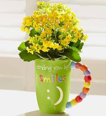 Mugable Full of Blooms Plant