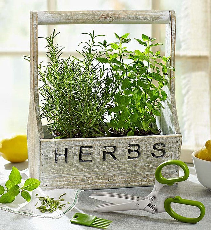 Herb Garden