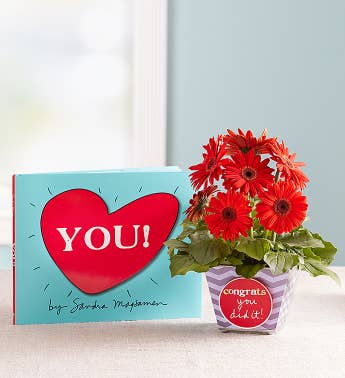 Congrats You Did It Gerbera Daisy