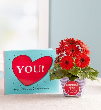 Congrats You Did It Gerbera Daisy