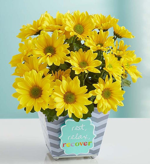 Rest, Relax, Recover