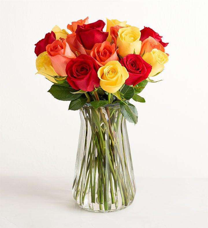 フラワーページ Colors Of The Rainbow | Blooms Today