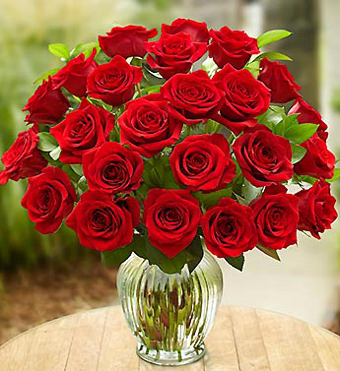 Two Dozen Red Roses