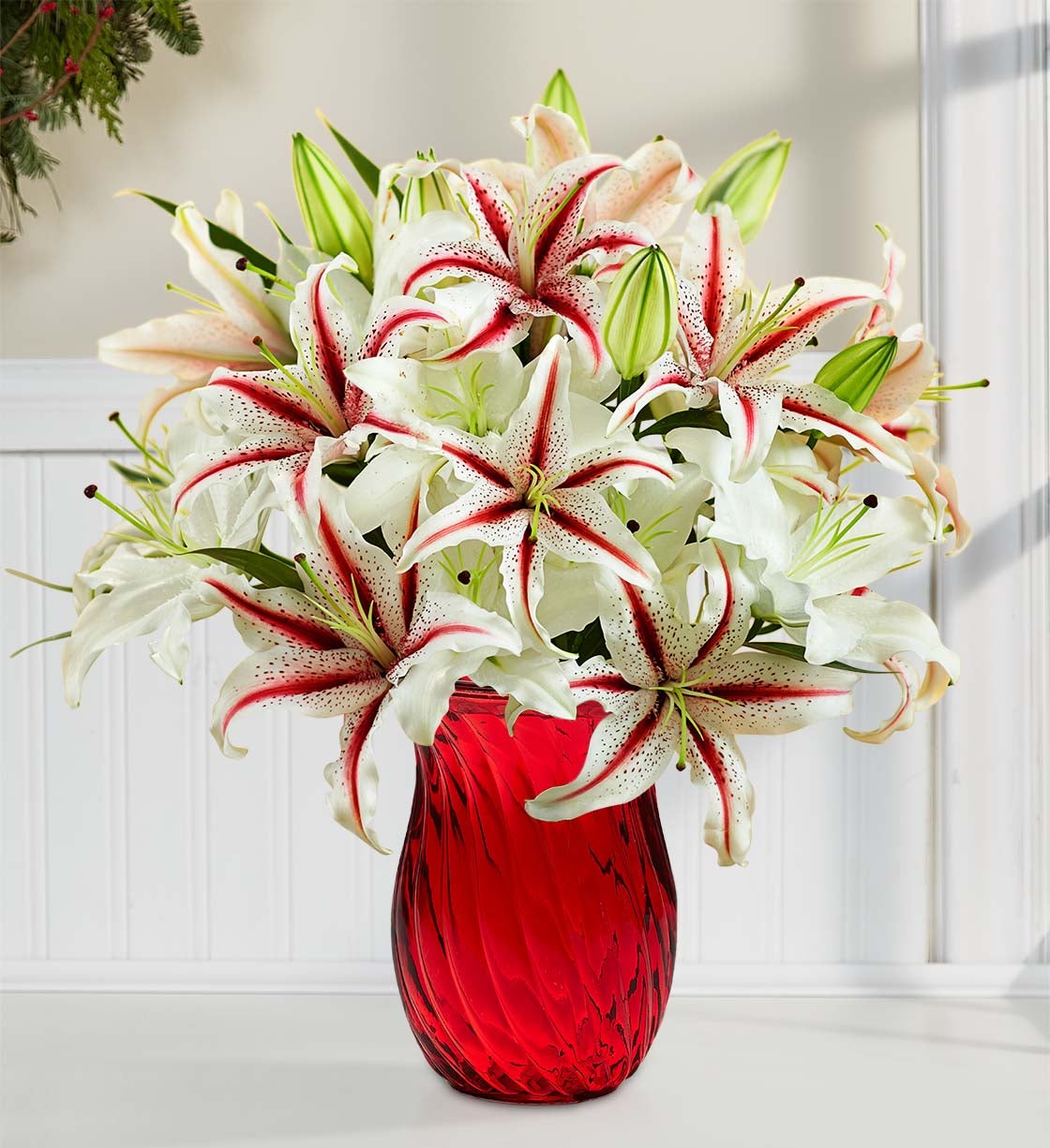 Candy Cane Lilies + Free Vase