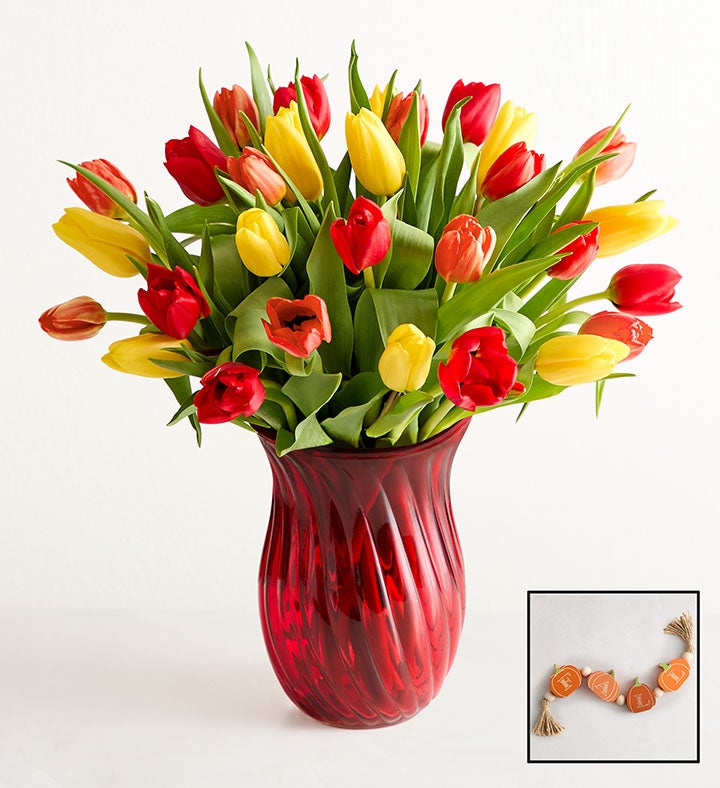 Our Favorite Fall Tulips™