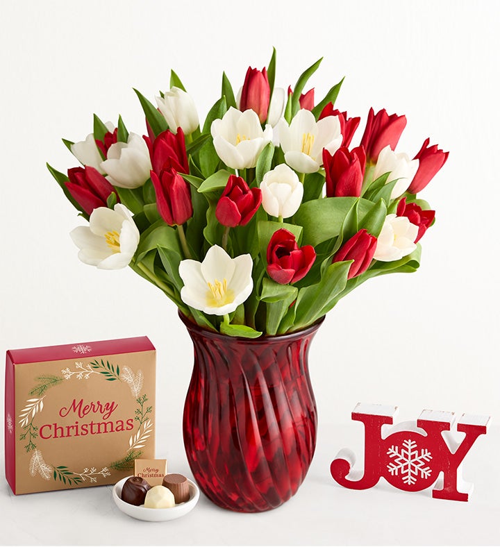 Holiday Tulips™