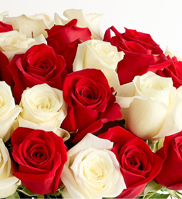 Peppermint Rose Bouquet™ | Red & White Rose Flowers | 1800Flowers