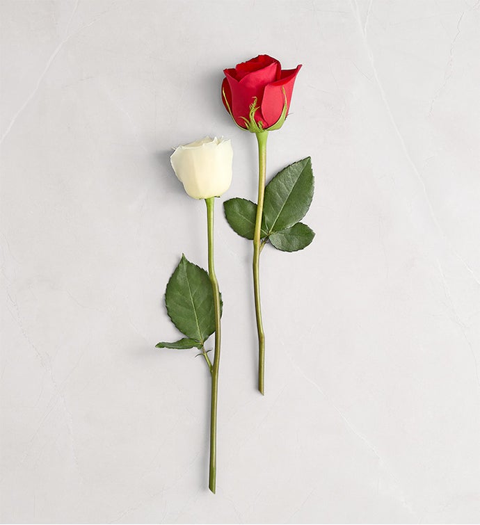Peppermint Rose Bouquet