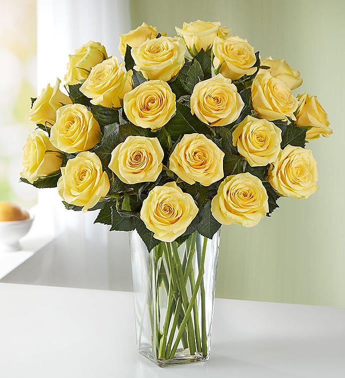 Yellow Roses, 12-24 Stems | 1800Flowers.com - 104514