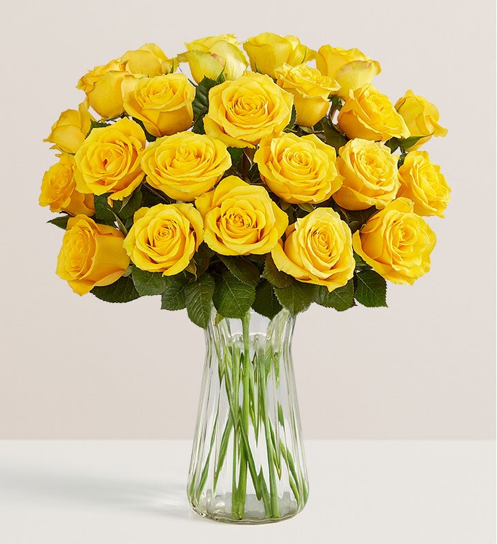 Yellow Roses