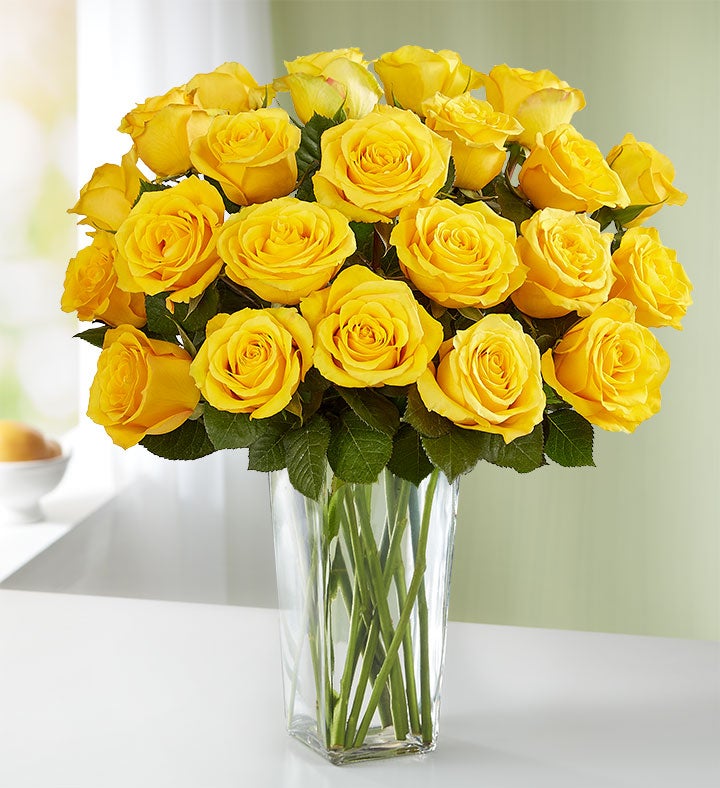 Two Dozen Yellow Roses + Free Vase