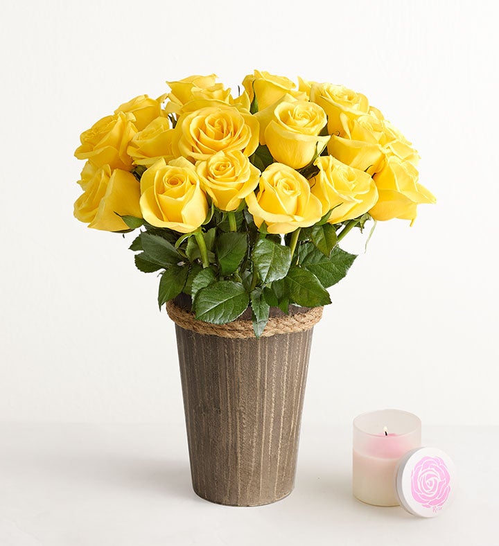 Yellow Roses