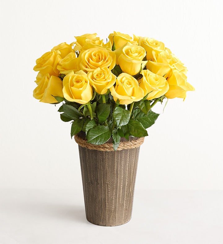 Yellow Roses