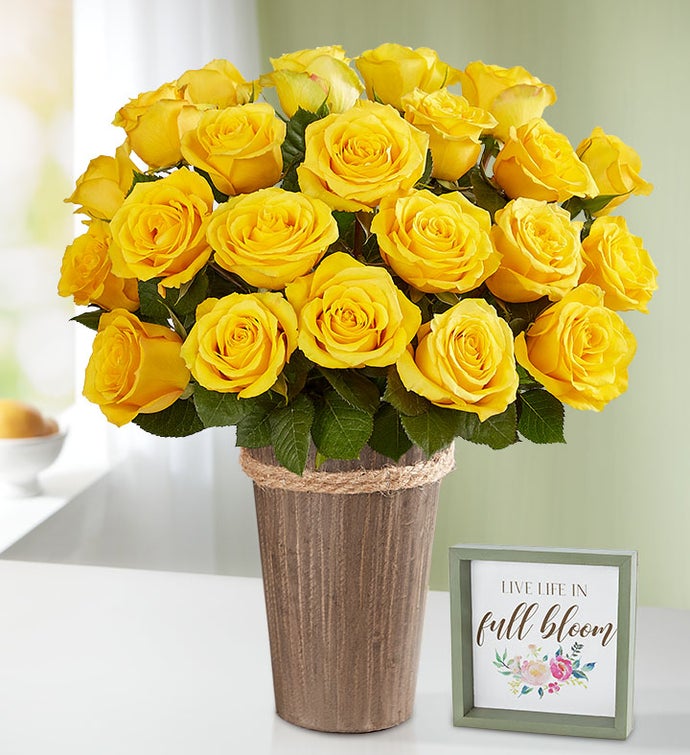 Yellow Roses