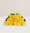 Yellow Roses