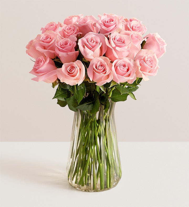 Pink Petal Roses