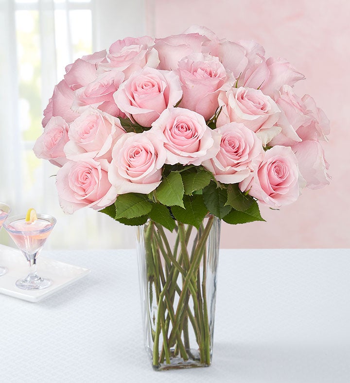 Two Dozen Pink Roses + Free Vase