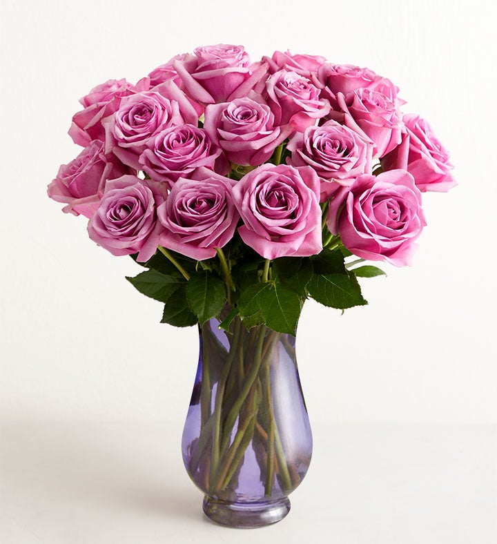 Passion for Purple Roses