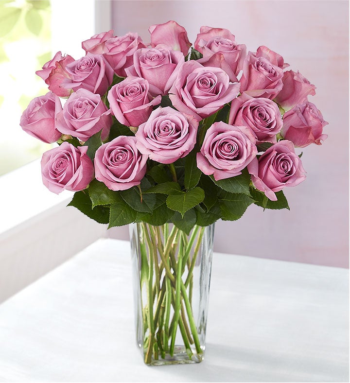 Two Dozen Purple Roses + Free Vase