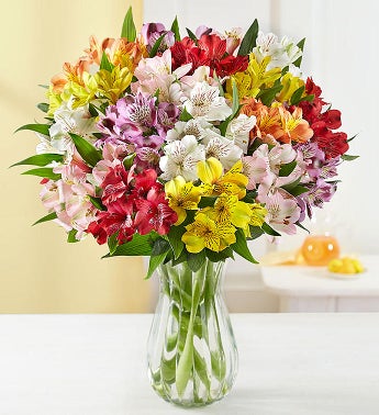 Peruvian Lilies 50 -100 Blooms